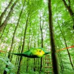 Baumzelte – EifelAdventures